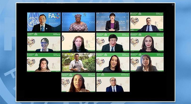 10 Şubat Dünya Bakliyat Günü’nde, FAO ‘‘Gençleri ve Bakliyatı Konuştu’’