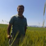 TOROSLARIN KALBİNDEN DÜNYAYA UZANAN BİR LEZZET: COĞRAFİ İŞARETLİ AKÇABELEN FASULYESİ